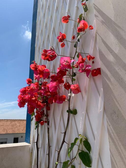 הוילה Sobral  Joia Da Casa House With Private Pool מראה חיצוני תמונה